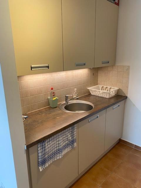 Roland Apartment Downtown - Garay Budapest Esterno foto