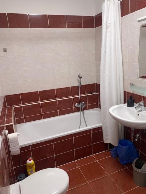 Roland Apartment Downtown - Garay Budapest Esterno foto